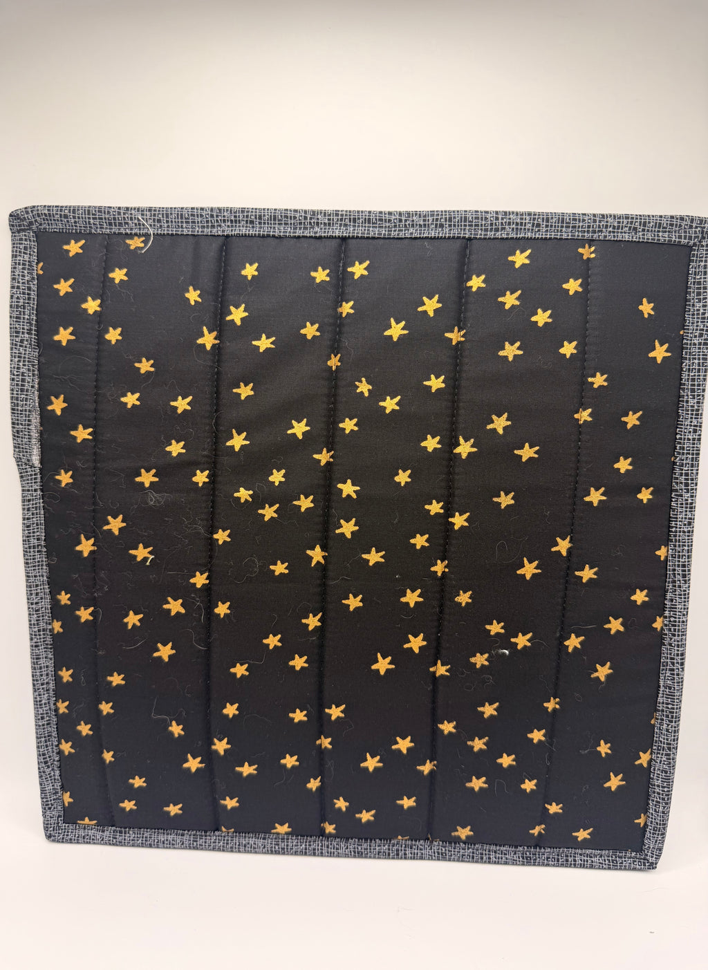 Cat Vinyl Project Bag - 001