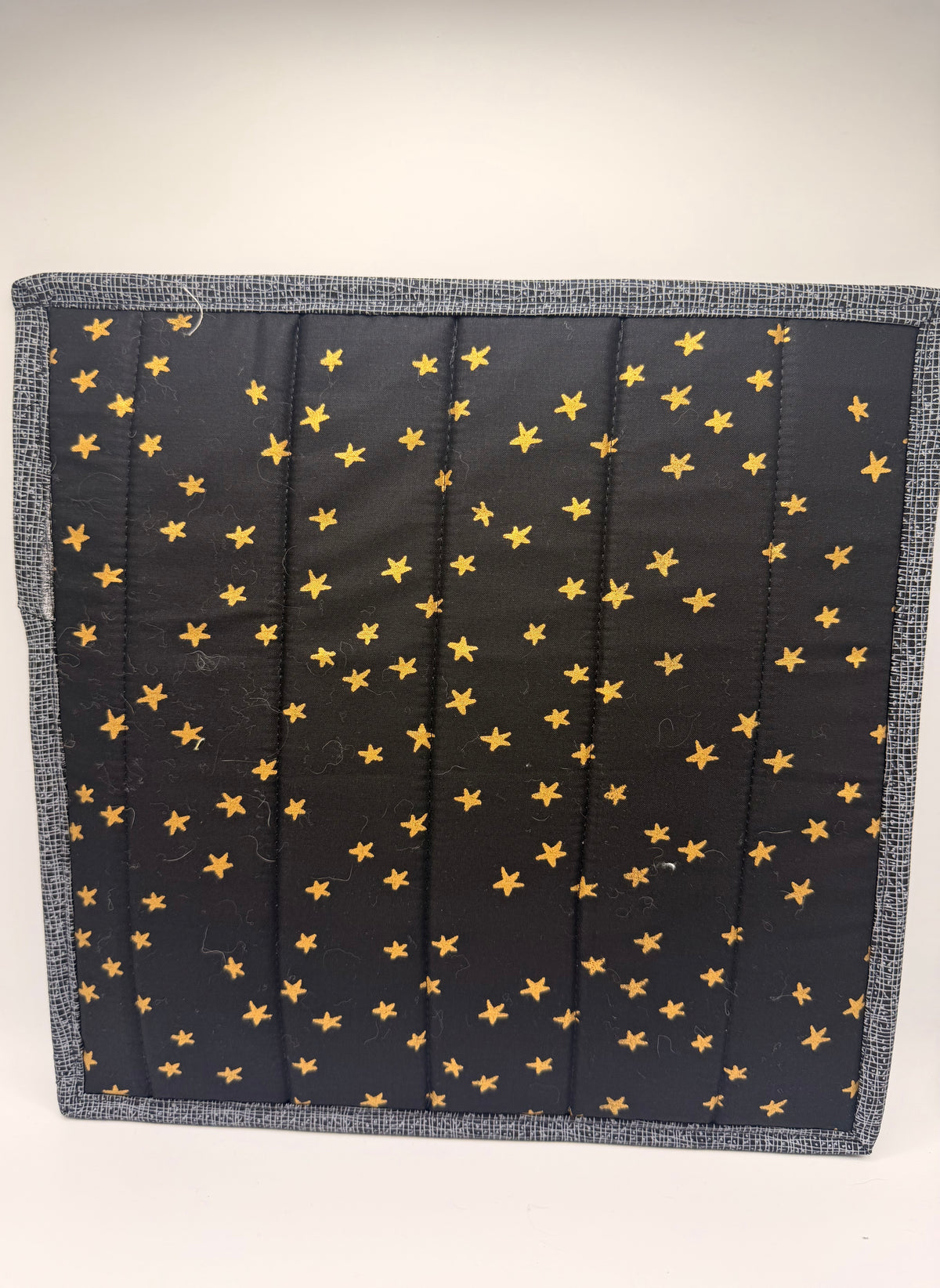 Cat Vinyl Project Bag - 001
