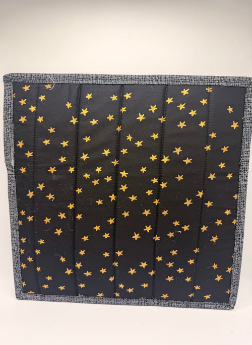 Cat Vinyl Project Bag - 001